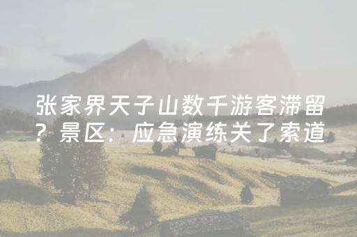 终于发现了“微乐天津麻将胡牌神器（专用辅牌神器免安装）