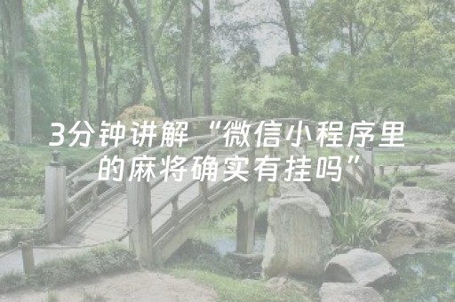 必看教程“微乐捉鸡麻将助赢软件（助赢神器通用版）