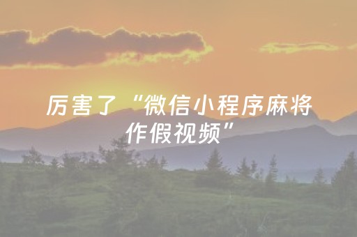 实测辅助“微乐斗地主透明器教程（专用辅牌神器免安装）