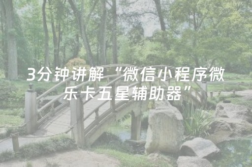 玩家必看攻略“开心十三张辅助ios版（专用辅牌神器免安装）