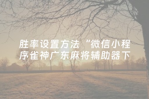 必看教程“功夫川麻辅助器v3.5.4在哪儿购买（专用辅牌神器免安装）