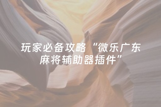 实测分享“微乐河北麻将容易胡牌的技巧（助赢神器通用版）