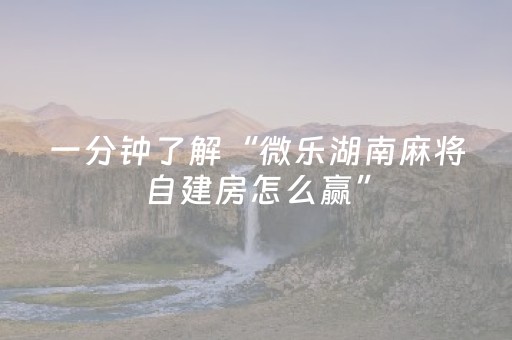 教程辅助“决胜麻将app插件（专用辅牌神器免安装）