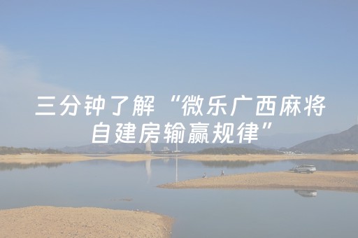 实测辅助“手机app打牌有外挂吗（专用辅牌神器免安装）