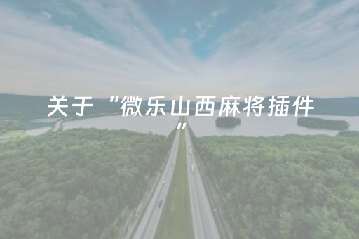 3分钟学会“微信小程序麻将软件神器（助赢神器通用版）