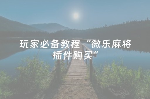 玩家必备教程“微乐麻将插件购买”（辅助器插件)