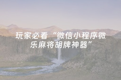 玩家必看“微信小程序微乐麻将胡牌神器”（助赢神器)