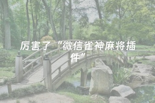 厉害了“微信雀神麻将插件”（攻略插件)
