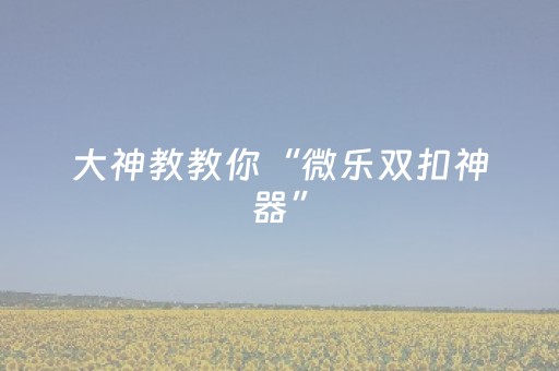 大神教教你“微乐双扣神器”（插件可信吗)