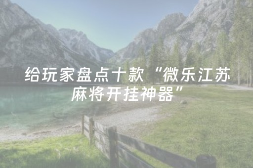给玩家盘点十款“微乐江苏麻将开挂神器”（技巧和打好牌方法)