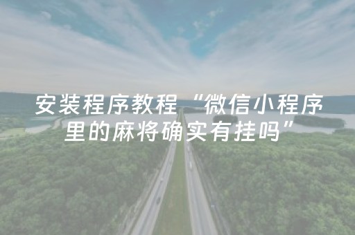 安装程序教程“微信小程序里的麻将确实有挂吗”（怎么增加胜率)