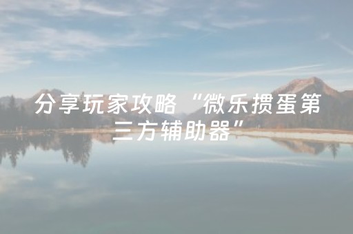分享玩家攻略“微乐掼蛋第三方辅助器”（有什么诀窍)