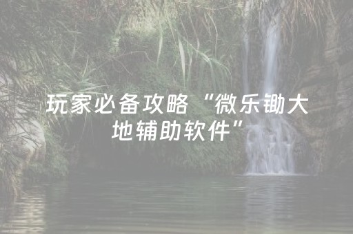 玩家必备攻略“微乐锄大地辅助软件”（开挂辅助器插件)