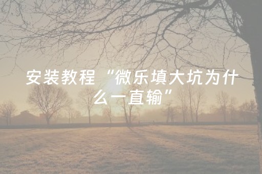 安装教程“微乐填大坑为什么一直输”（挂件神器)