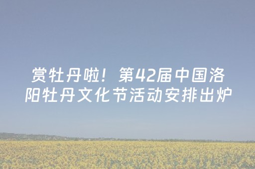 今日盘点“微信拼三张辅助视频”（详细开挂教程）-哔哩哔哩