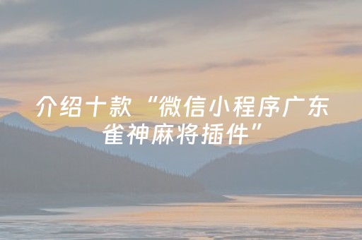 介绍十款“微信小程序广东雀神麻将插件”（万能开挂器)