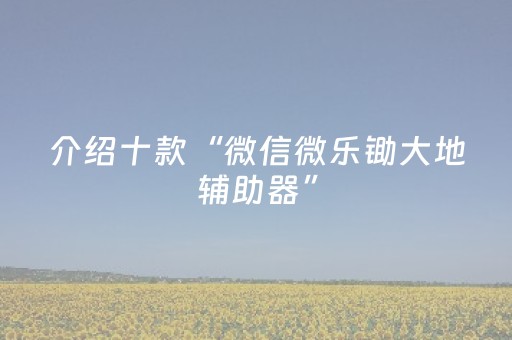 介绍十款“微信微乐锄大地辅助器”（外辅工具)