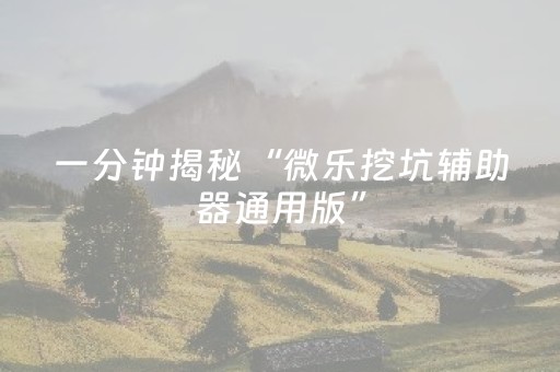 一分钟揭秘“微乐挖坑辅助器通用版”（免费专用神器)