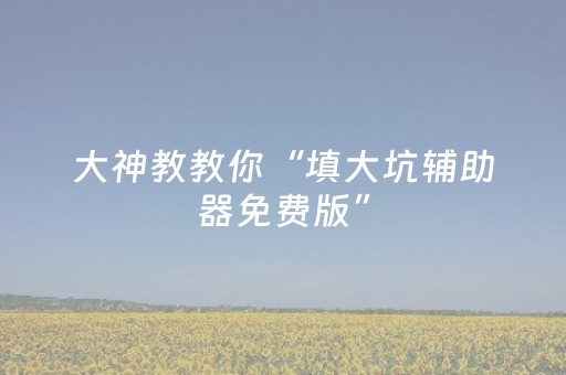 大神教教你“填大坑辅助器免费版”（发牌有什么规律吗)