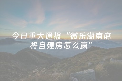 玩家必备“微乐双扣神器”（如何让系统发好牌)