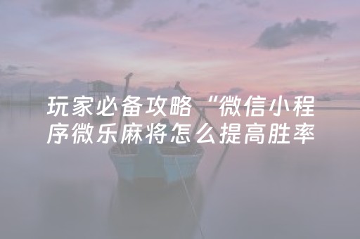 胜率设置方法“微乐辽宁麻将专用神器”（小程序辅助软件)