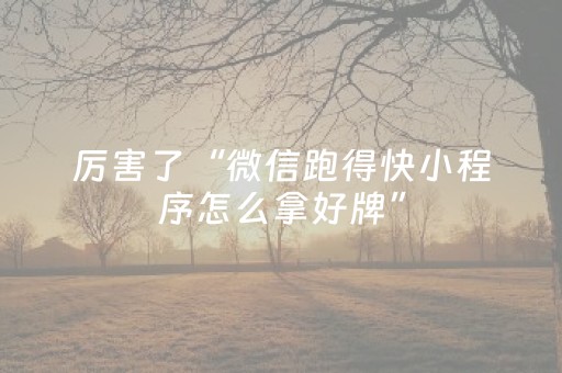 7分钟揭秘“微乐北京麻将有什么规律”（辅助器插件)