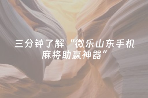 分享玩家攻略“微乐海南麻将助赢神器”（为什么有人一直赢)