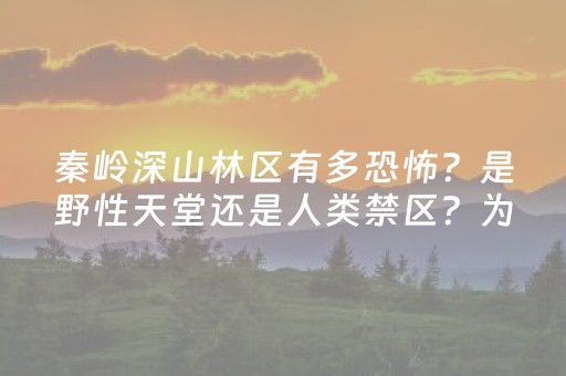 玩家必备攻略“微乐双扣发牌有什么规律吗”（自建房胜负规律)