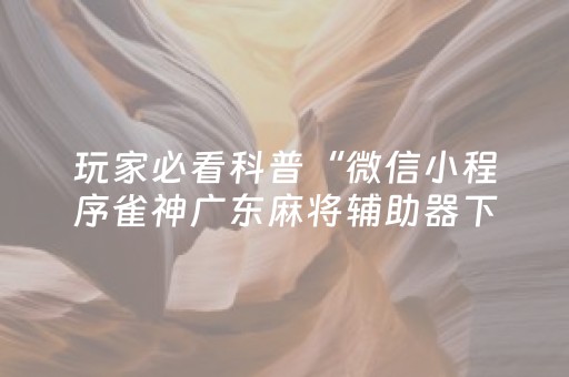 一分钟了解“微乐湖北麻将开挂神器”（技巧和打好牌方法)