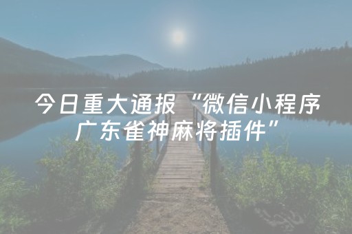 玩家必备“财神十三张新号稳赢”（AI辅助胡牌规则)