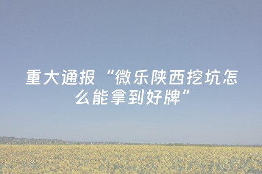 给大家科普一下“微乐跑得快怎么调胜率”（辅助器下载)