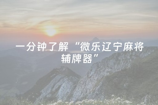 一分钟了解“财神十三张助赢神器”（可以设置输赢吗)