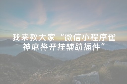 盘点十款“小程序财神十三张究竟有挂吗”（透明器教程)