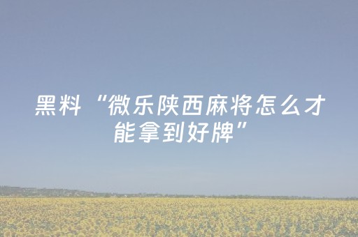 玩家必备教程“微乐海南麻将辅助器插件”（自建房怎么拿好牌)