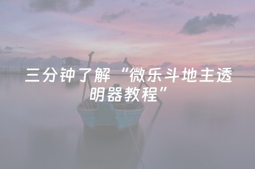 三分钟了解“微乐斗地主透明器教程”（赢的技巧规律)