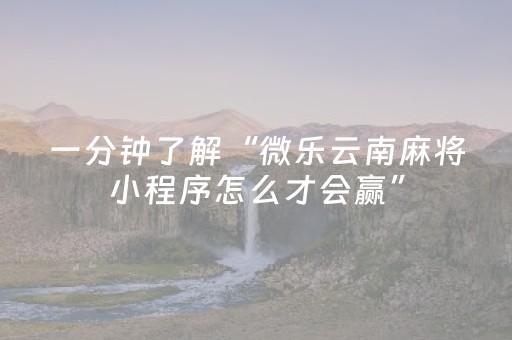 黑料“财神十三张助赢神器”（小程序辅助软件)