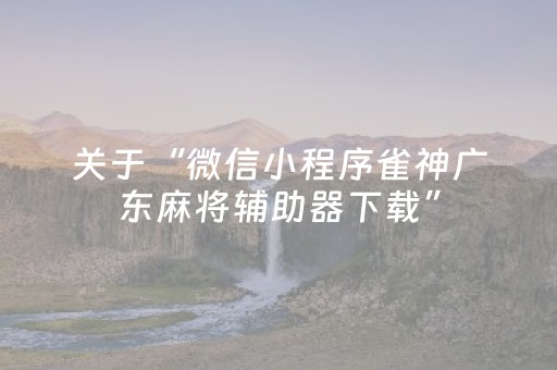 玩家必看“微乐山西麻将专用神器”（开挂辅助脚本)