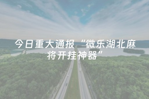 给玩家盘点十款“微乐海南麻将如何让系统发好牌”（有没有猫腻)