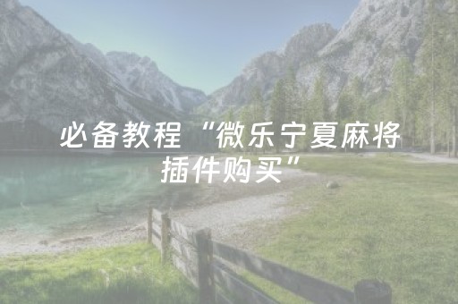 安装教程“手机万能透视看牌器”（辅牌器插件购买)