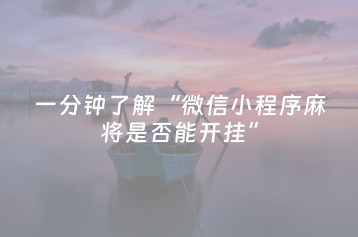 2分钟秒懂“微乐江苏麻将助赢神器”（充会员胜率高)