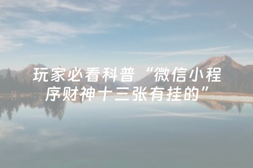 给大家科普一下“财神十三张辅助器”（小程序控牌器)