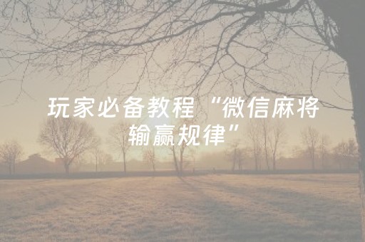 玩家必备教程“微信小程序微乐麻将助赢神器购买”（输赢规律)