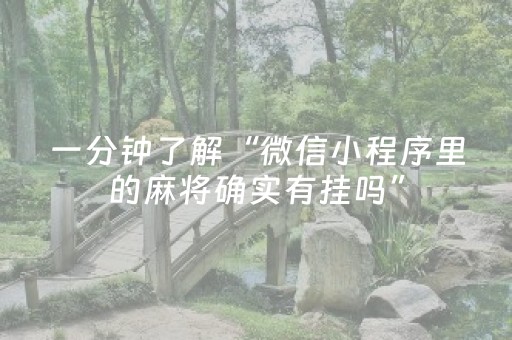 必看盘点揭秘“微乐捉鸡麻将助赢软件”（小程序控牌器)