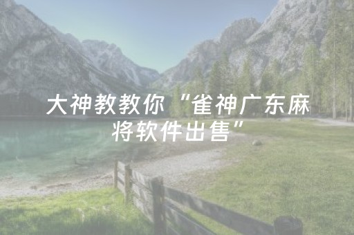 7分钟揭秘“微乐江苏麻将开挂神器”（辅助器下载)