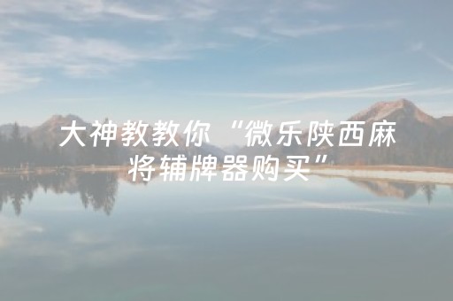 玩家必看科普“微信雀神麻将插件”（有没有猫腻)
