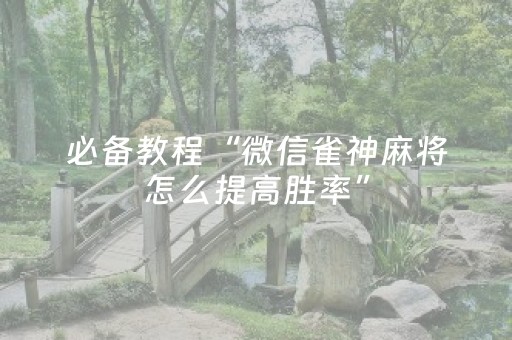 给玩家盘点十款“微乐河北麻将自建房胜负规律”（有没有猫腻)