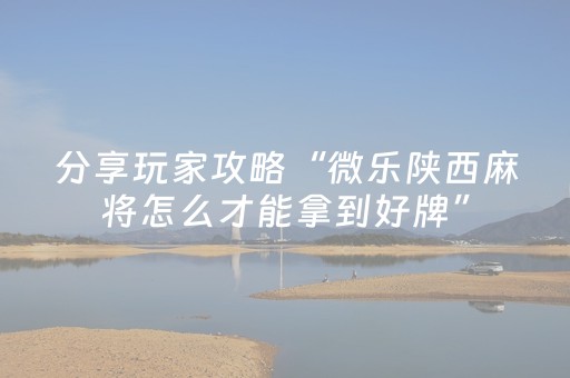 给玩家盘点十款“微乐斗地主自建房怎么拿好牌”（开挂神器下载)