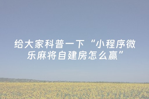 介绍十款“微乐辽宁麻将助赢神器”（小程序辅助软件)