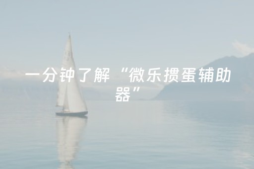 网（网哪个平台真实可靠）