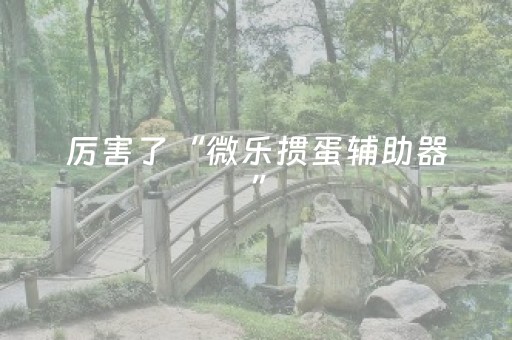 玩家必备攻略“财神十三张特殊牌开挂”（胜率到哪调)